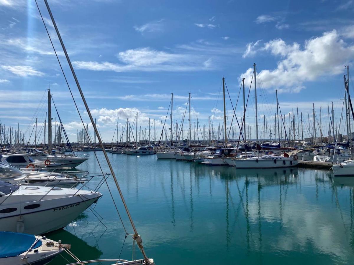 Nice And New Furnished Apartments In Torrevieja Centre Eksteriør bilde
